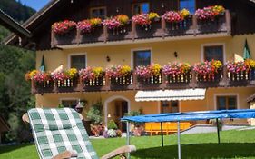 Bio-Bauernhof Vordergrubenbach - Familie Oberascher